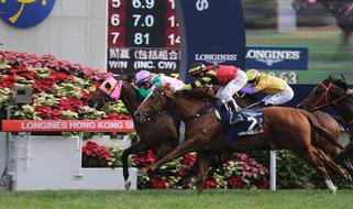 Aerovelocity (NZ) Claims Second Hong Kong G1 Sprint Title. Photo: Hong Kong Jockey Club.